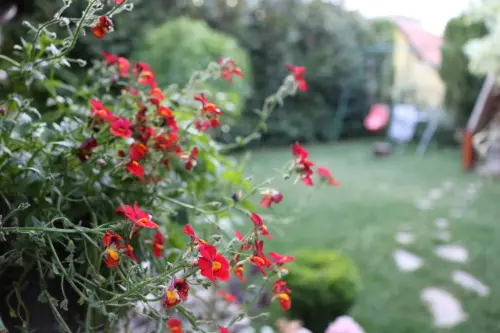 Vialetto giardino: ghiaia o autobloccanti?