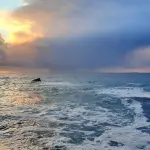 Organizzare un viaggio ad Ischia: tutto ciò che c'è da sapere