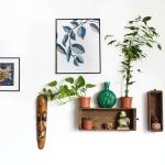 Come scegliere i colori per le pareti di casa