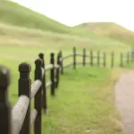 Recinzioni per ogni esigenza