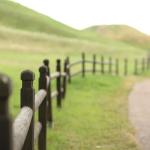 Recinzioni per ogni esigenza