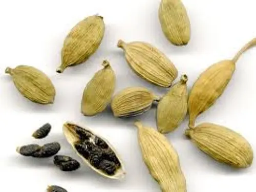 Il Cardamomo cos'è? Proprietà, usi e controindicazioni